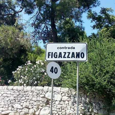Casa vacanze Cycas *